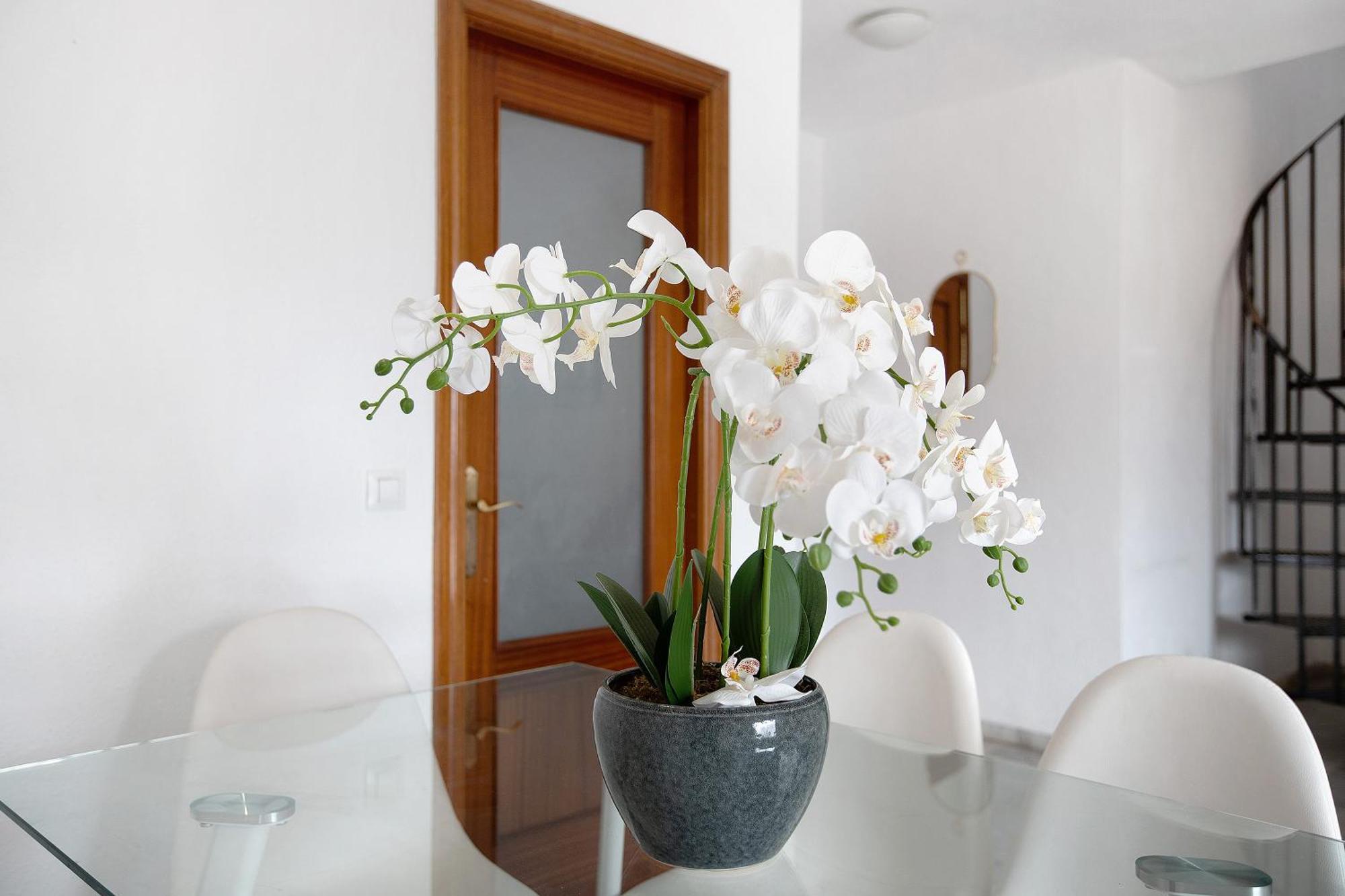 Atico Duplex En Malaga公寓 外观 照片